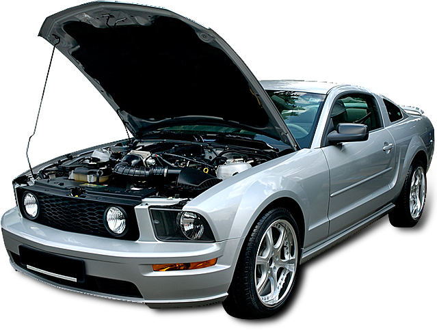 Professional Car Diagnostics